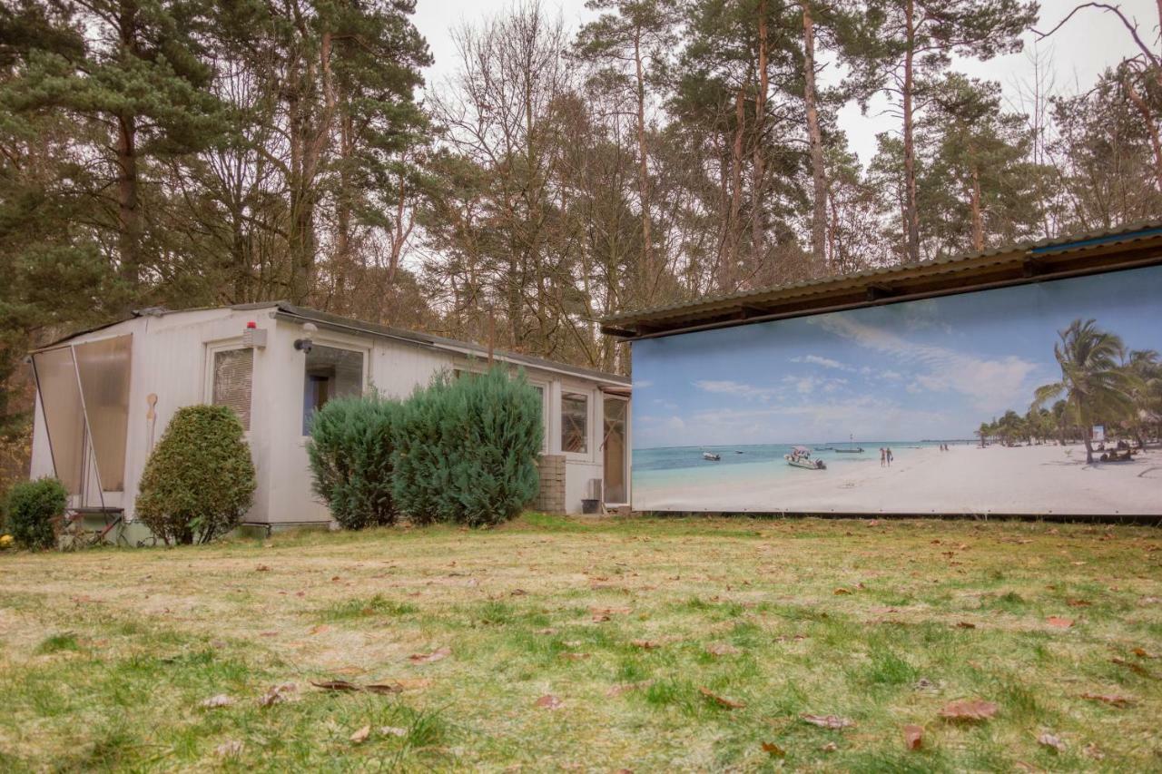 Bungalow Am Wald 柏林附近贝尔瑙 外观 照片